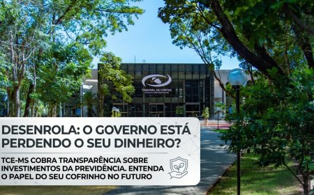 Desenrola: O governo está perdendo dinheiro da nossa aposentadoria?