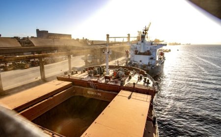 Exportações de Mato Grosso do Sul crescem mais de 6% e superávit ultrapassa US$ 2,7 bilhões