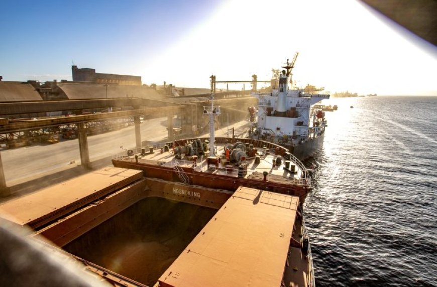 Exportações de Mato Grosso do Sul crescem mais de 6% e superávit ultrapassa US$ 2,7 bilhões