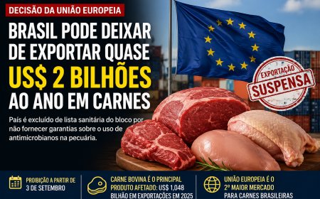 Brasil pode perder mercado bilionário na Europa após restrição sobre uso de antimicrobianos na pecuária