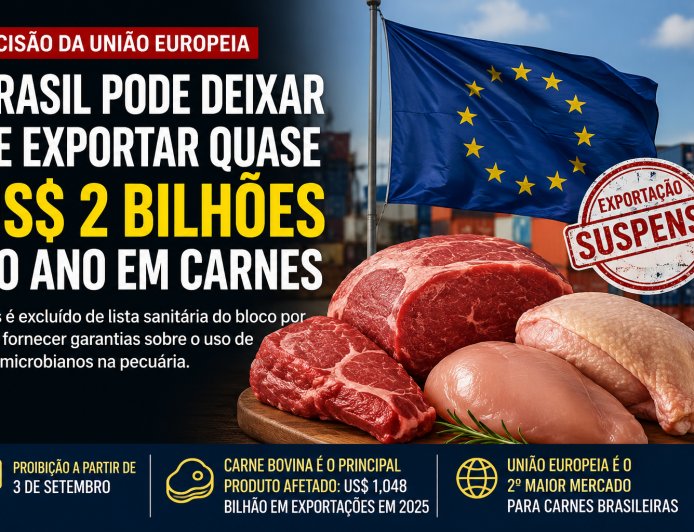 Brasil pode perder mercado bilionário na Europa após restrição sobre uso de antimicrobianos na pecuária
