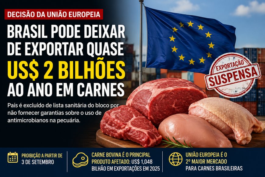 Brasil pode perder mercado bilionário na Europa após restrição sobre uso de antimicrobianos na pecuária